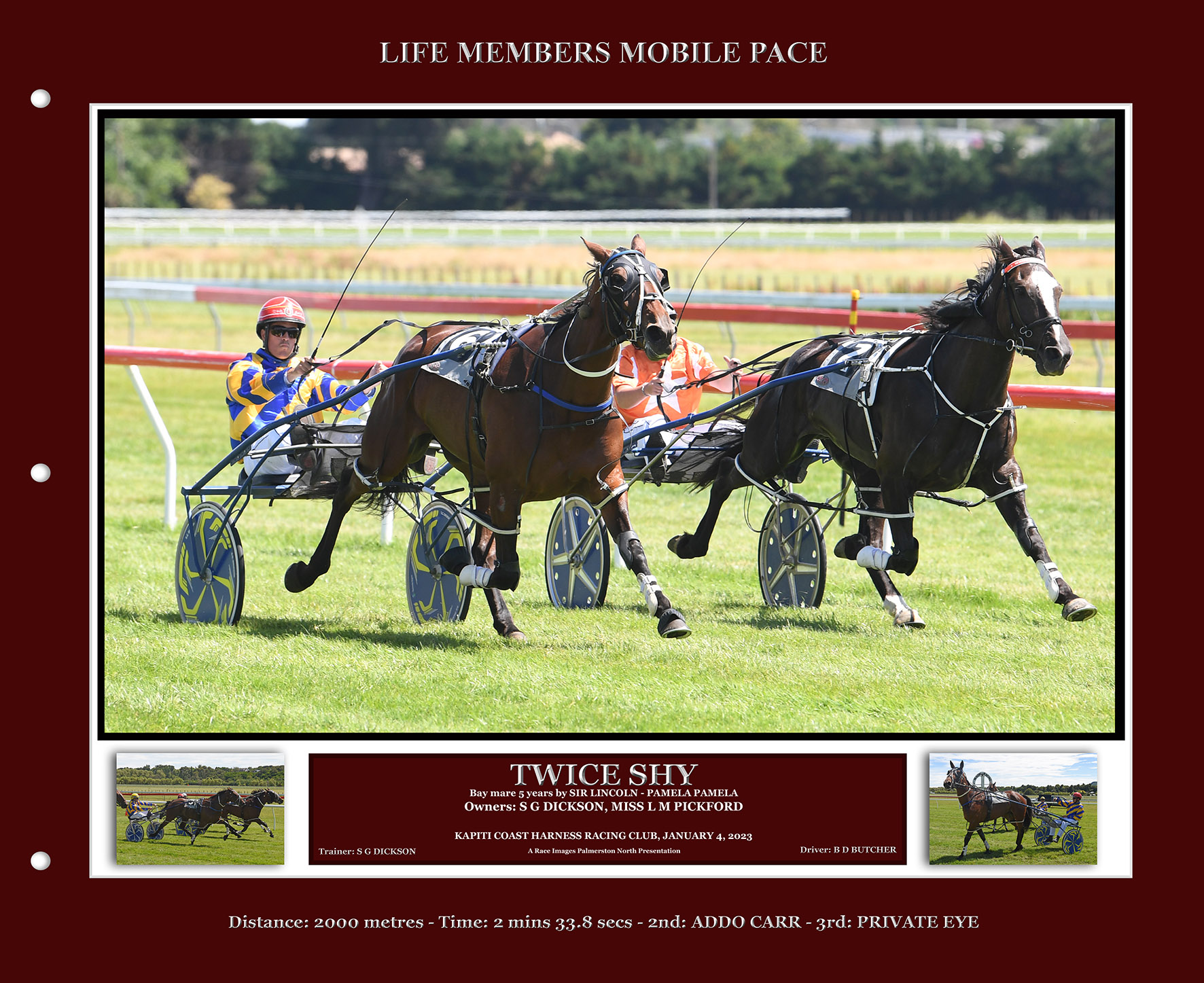 Products NZ Harness Racing