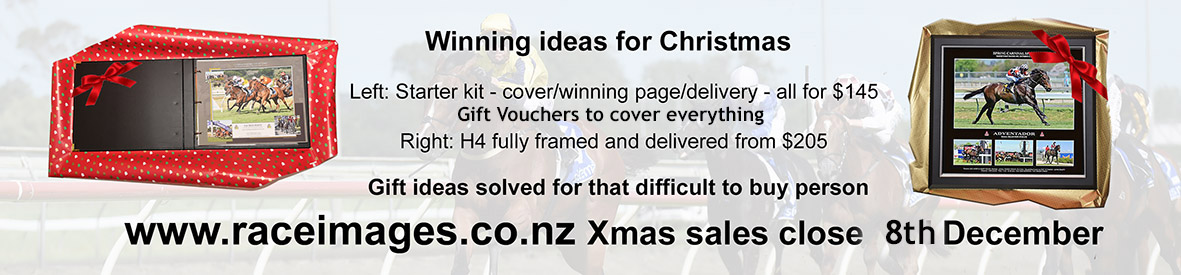 xmas banner 2025.jpg