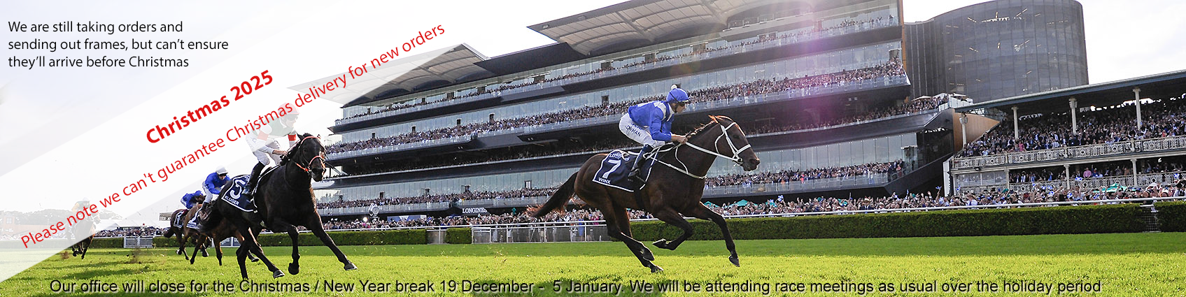 WINX,XMAS darndest _7_RW_13042019__E0038 copy.png