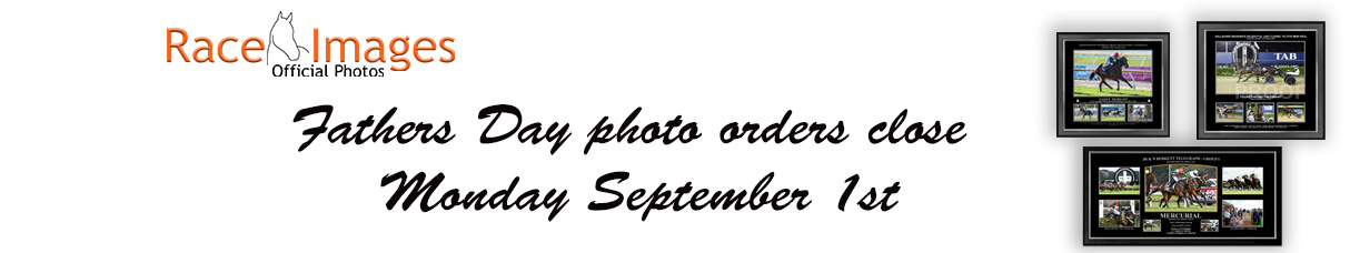 FATHERS DAY BANNER.jpg
