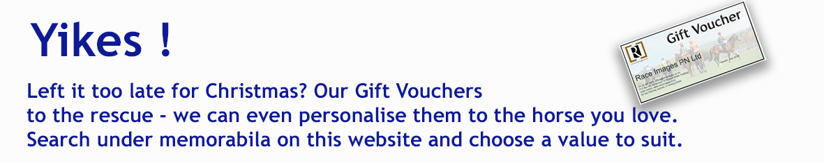 gift voucher bannner.jpg